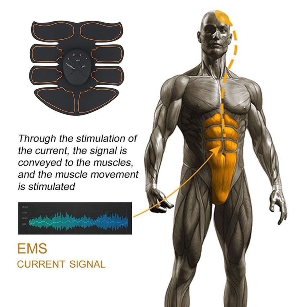 EMS Abdominal &amp; Full Trainer